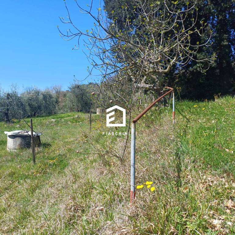 immagine annuncio 2 di 12