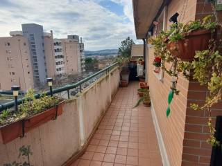Appartamento in affitto a perugia 