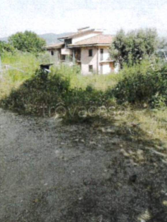 immagine annuncio 2 di 11