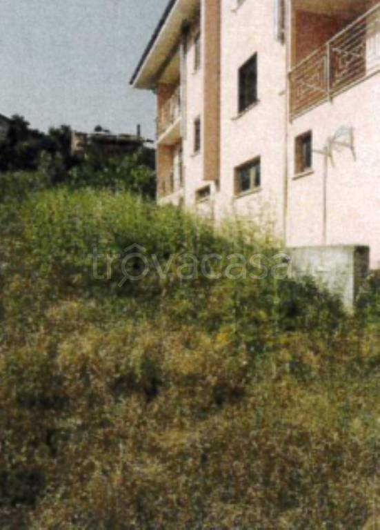 immagine annuncio 9 di 11