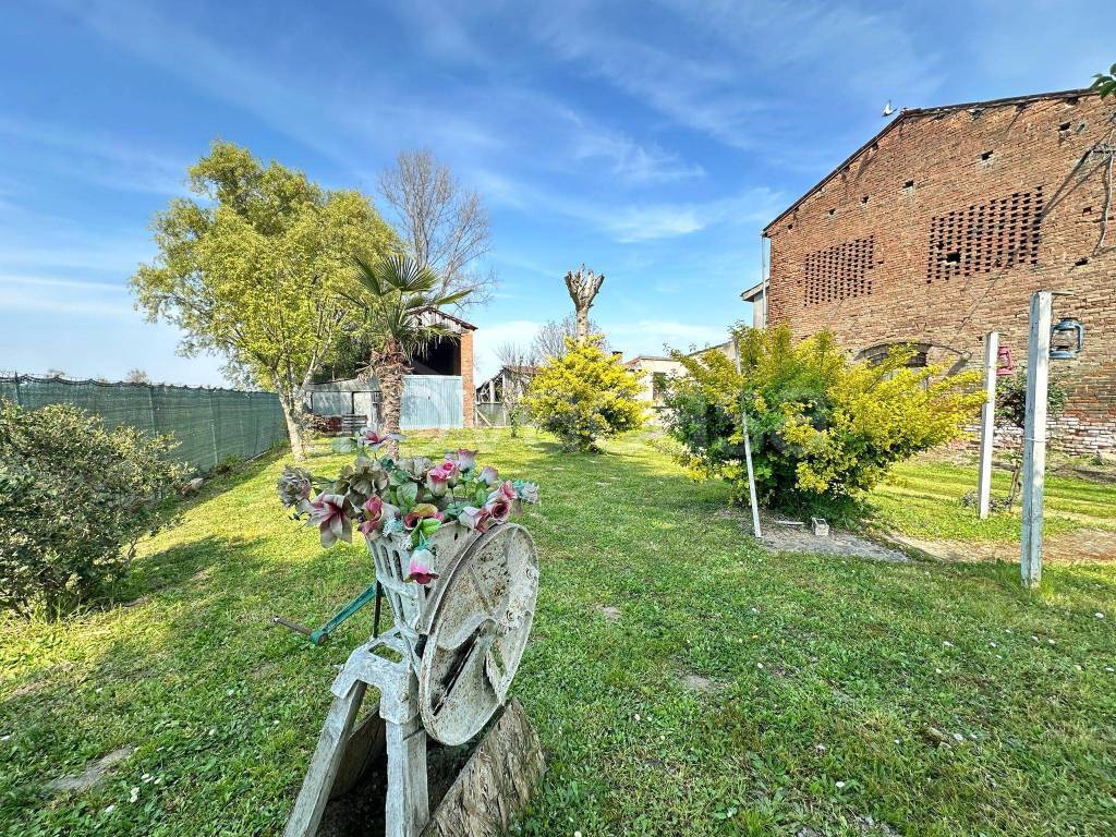 immagine annuncio 5 di 10