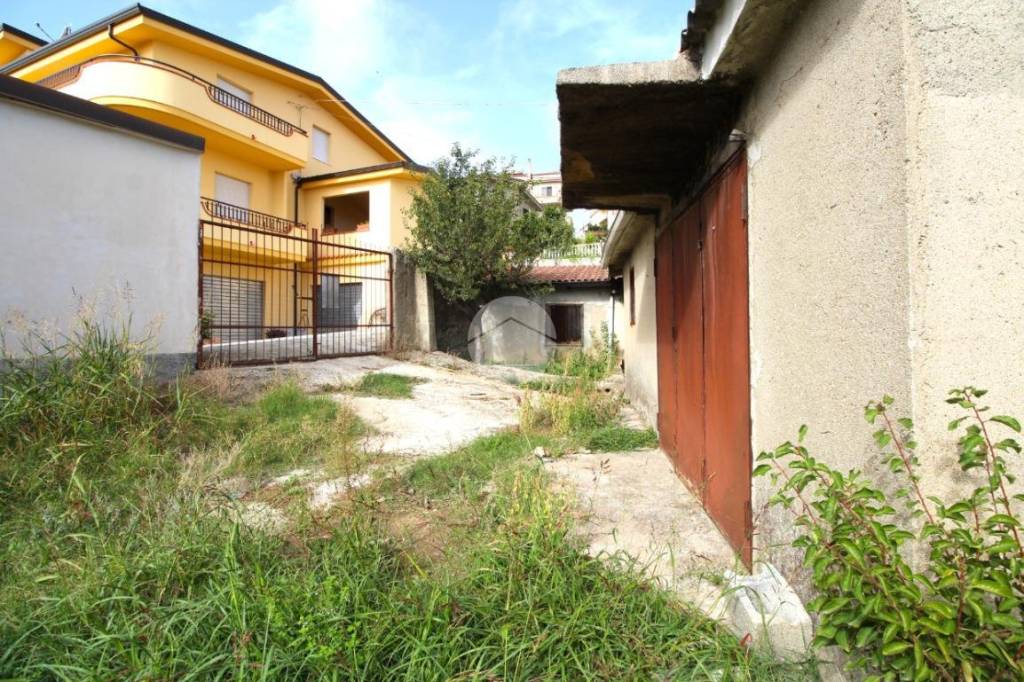 immagine annuncio 5 di 11