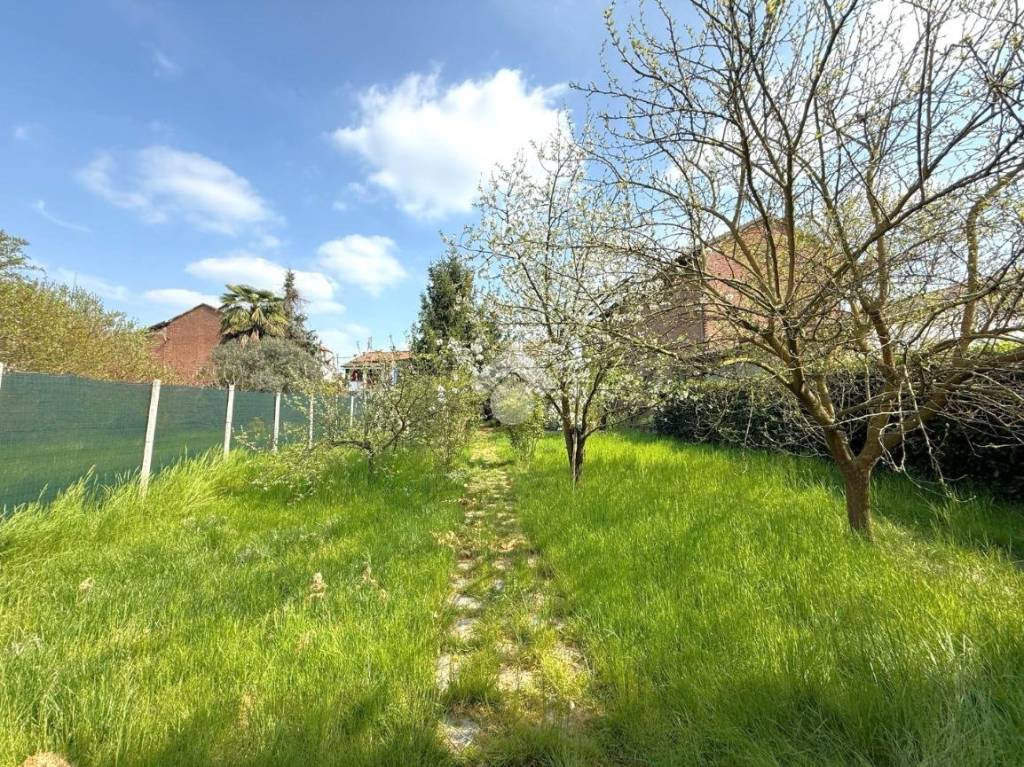 immagine annuncio 7 di 15