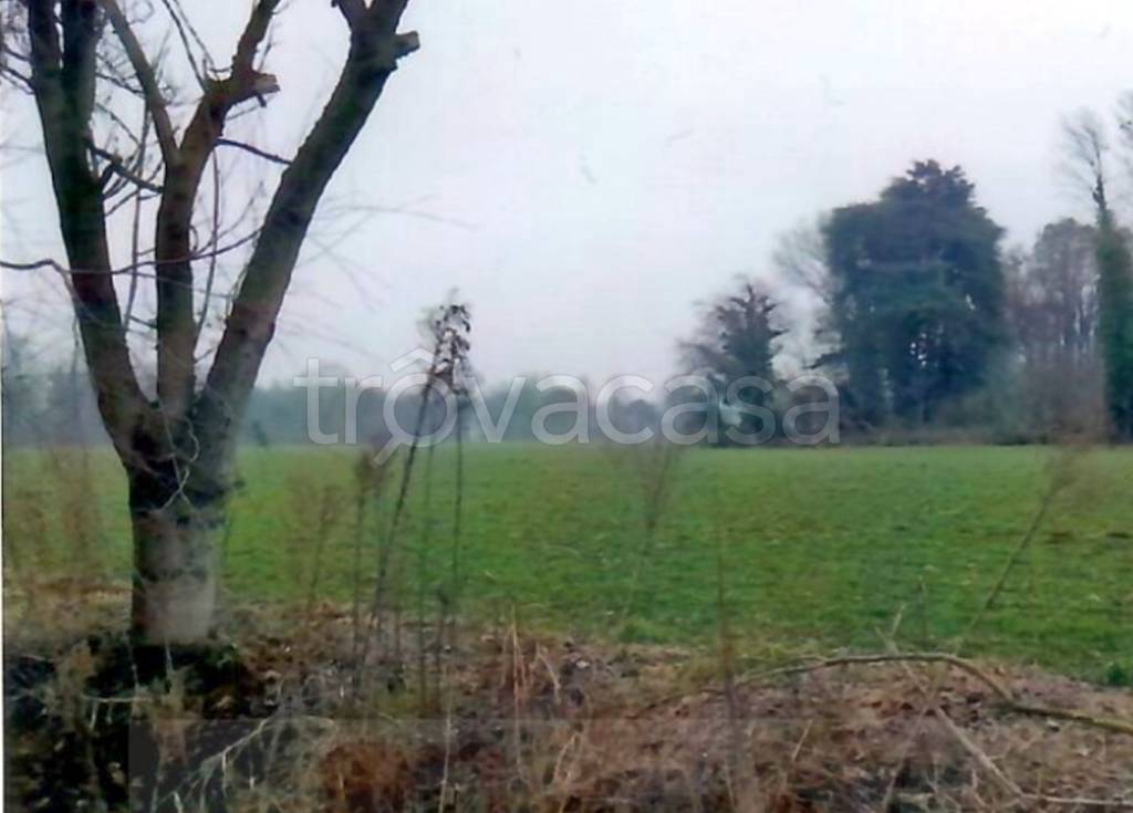 immagine annuncio 12 di 14