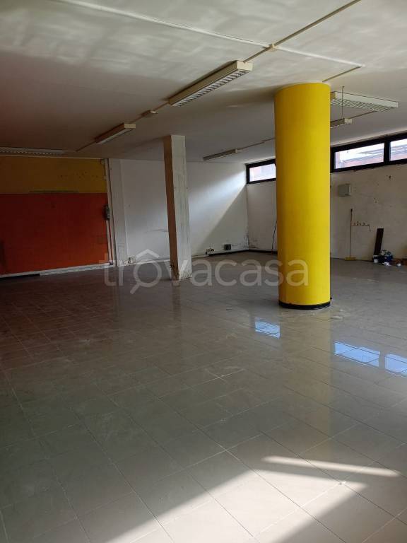 immagine annuncio 2 di 11