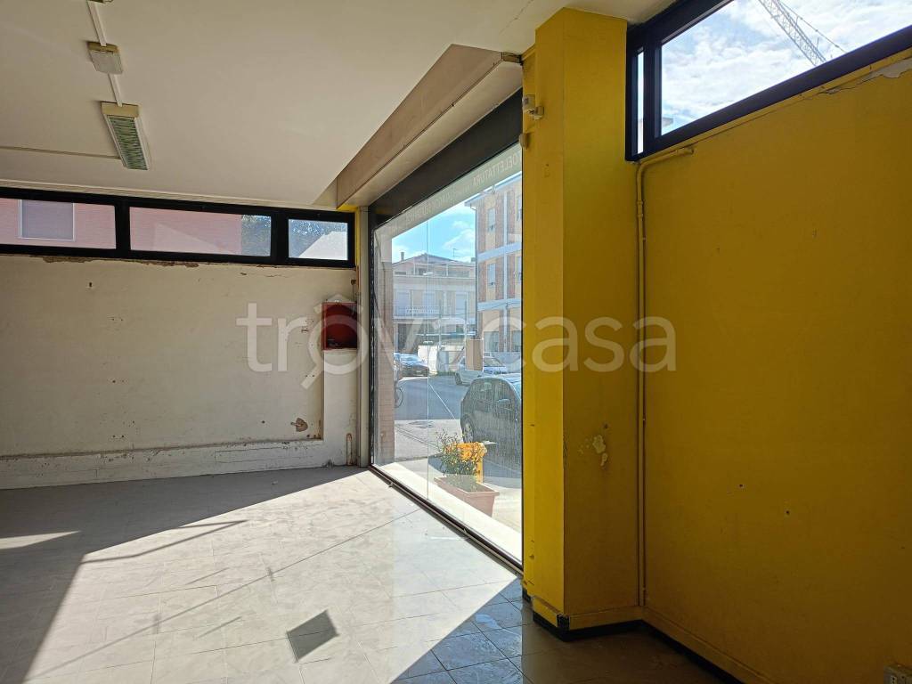 immagine annuncio 5 di 11