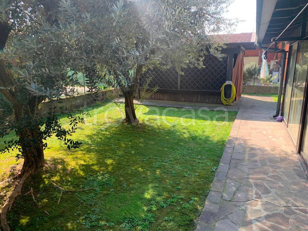 immagine annuncio 3 di 15