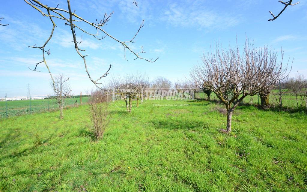 immagine annuncio 3 di 12