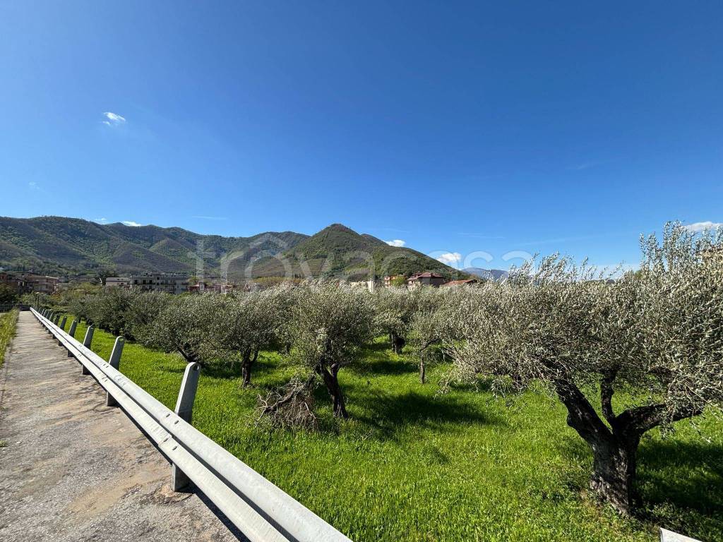 immagine annuncio 3 di 8