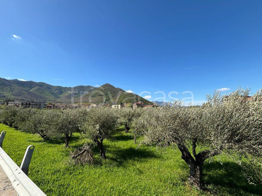 immagine annuncio 4 di 8