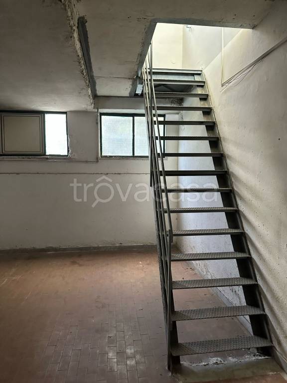 immagine annuncio 10 di 13