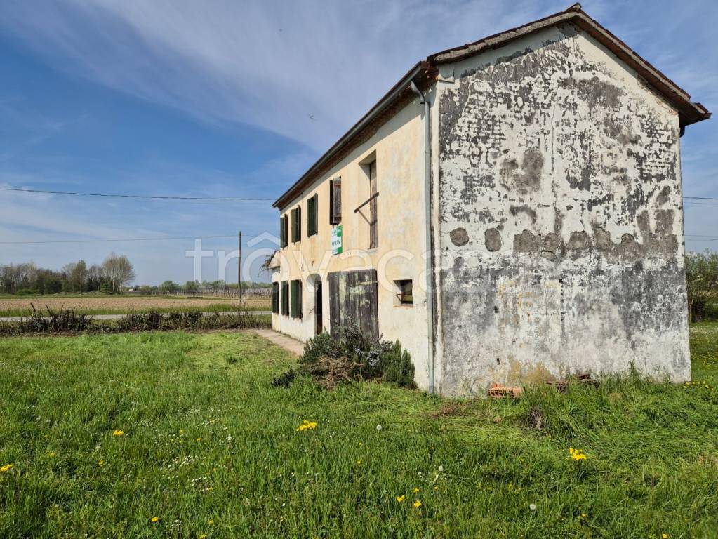 immagine annuncio 4 di 6