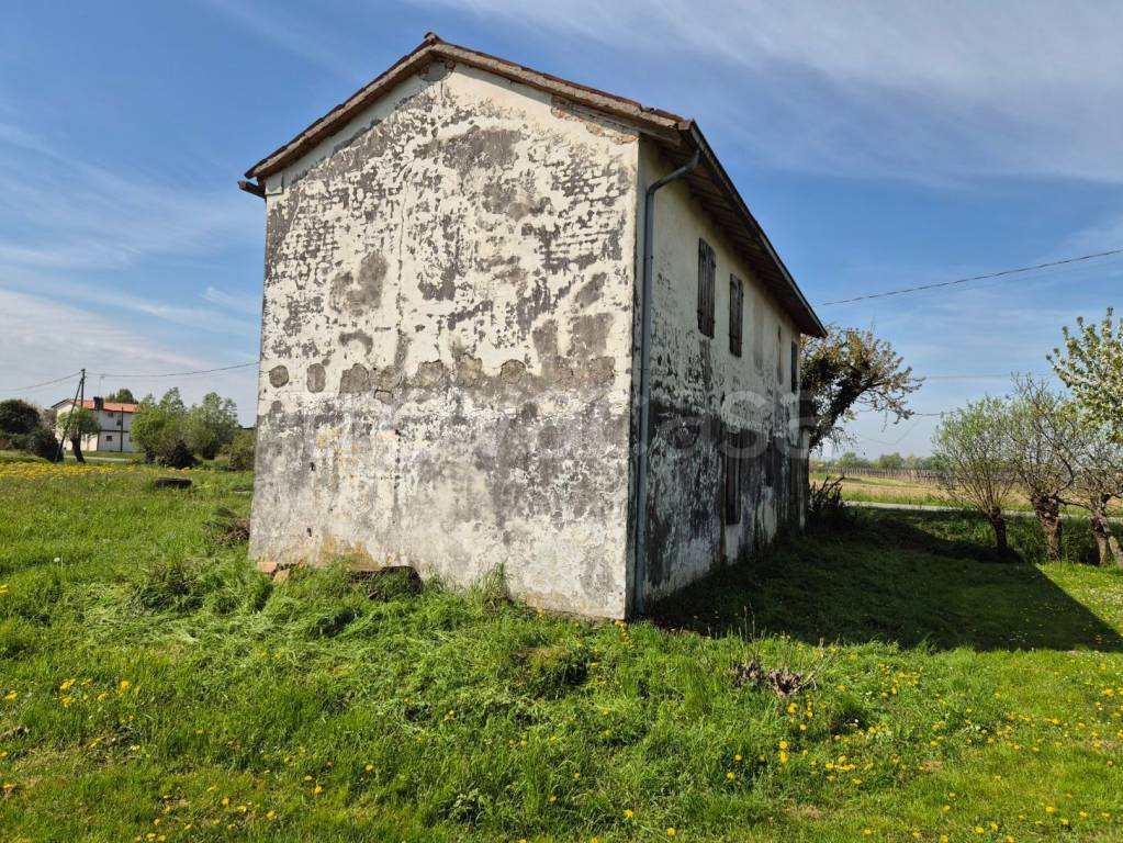 immagine annuncio 5 di 6