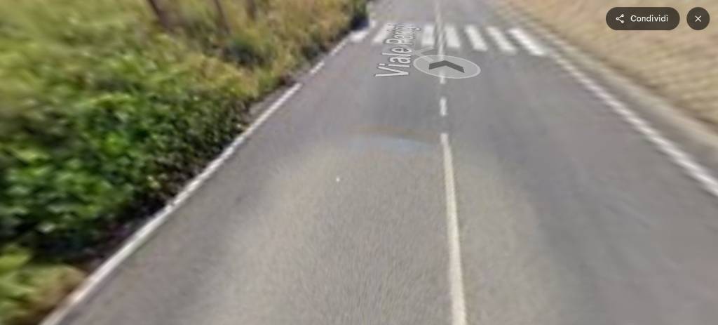 immagine annuncio 9 di 14
