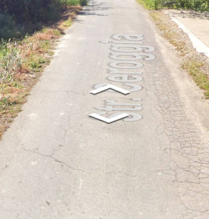 immagine annuncio 9 di 13