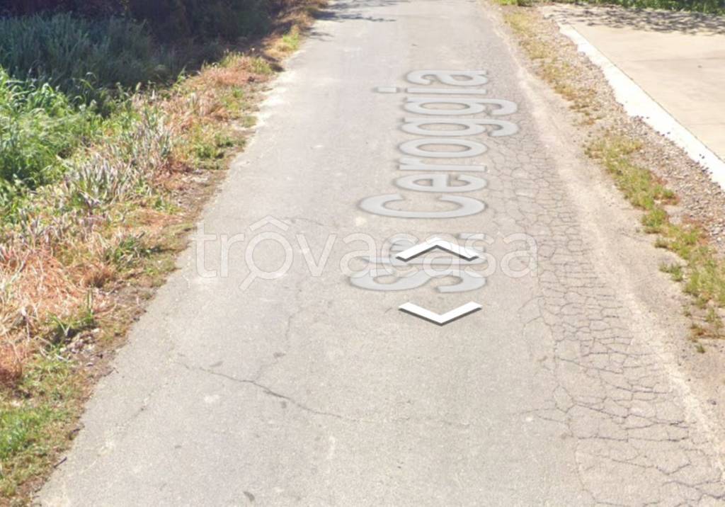 immagine annuncio 12 di 13