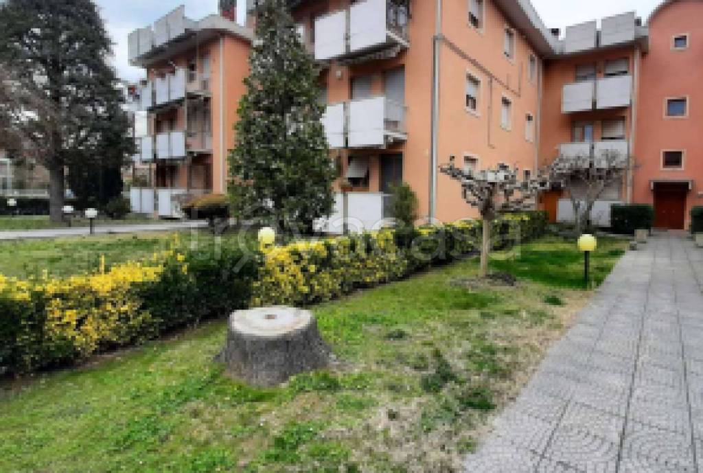 immagine annuncio 1 di 12