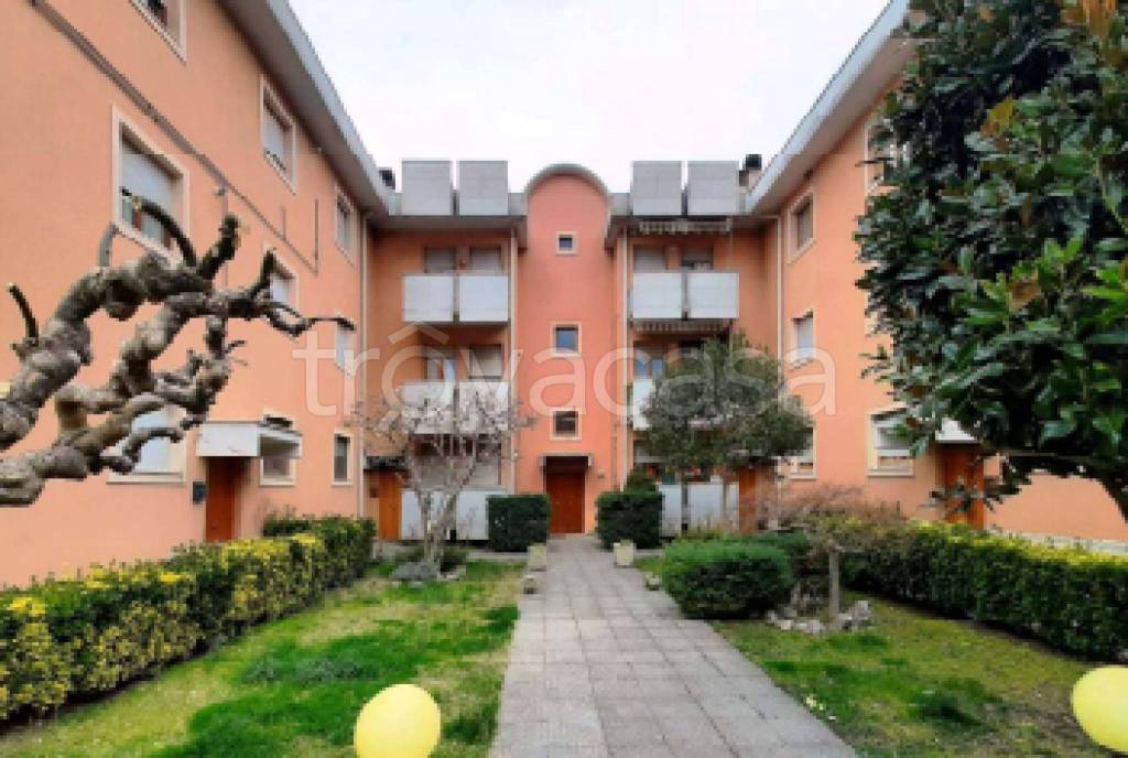 immagine annuncio 11 di 12
