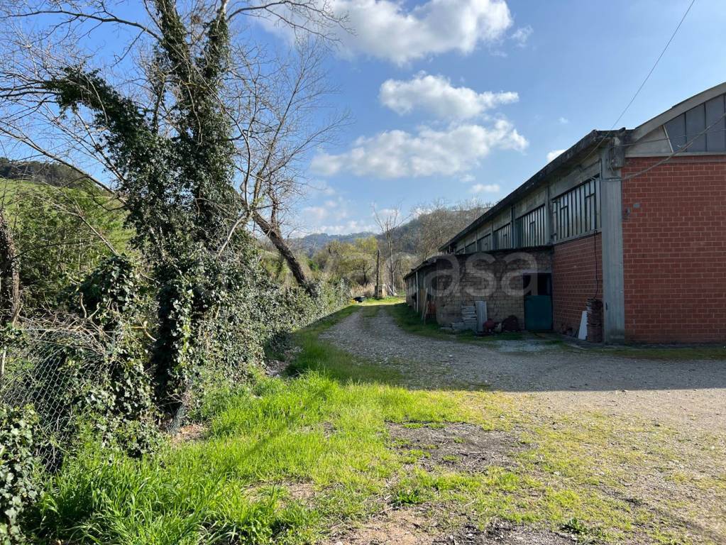 immagine annuncio 3 di 12