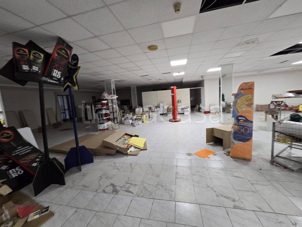 immagine annuncio 2 di 14