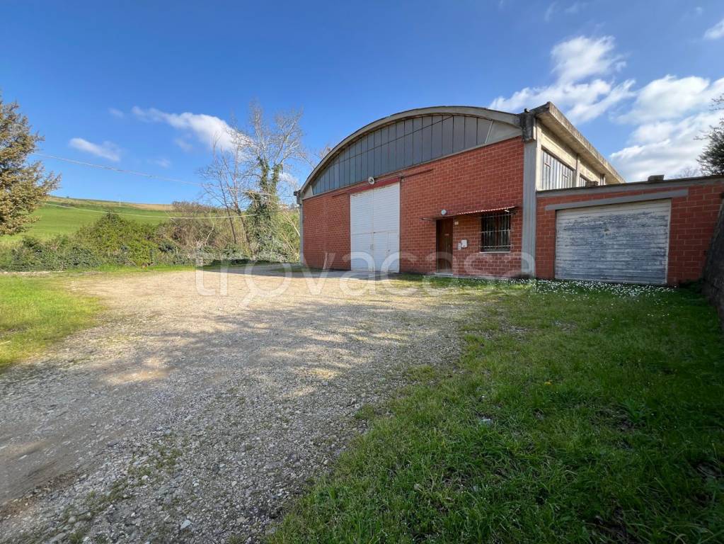 immagine annuncio 8 di 12