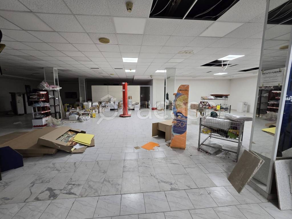 immagine annuncio 4 di 14