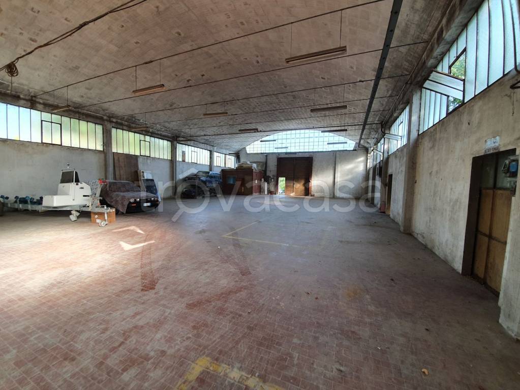 immagine annuncio 10 di 12