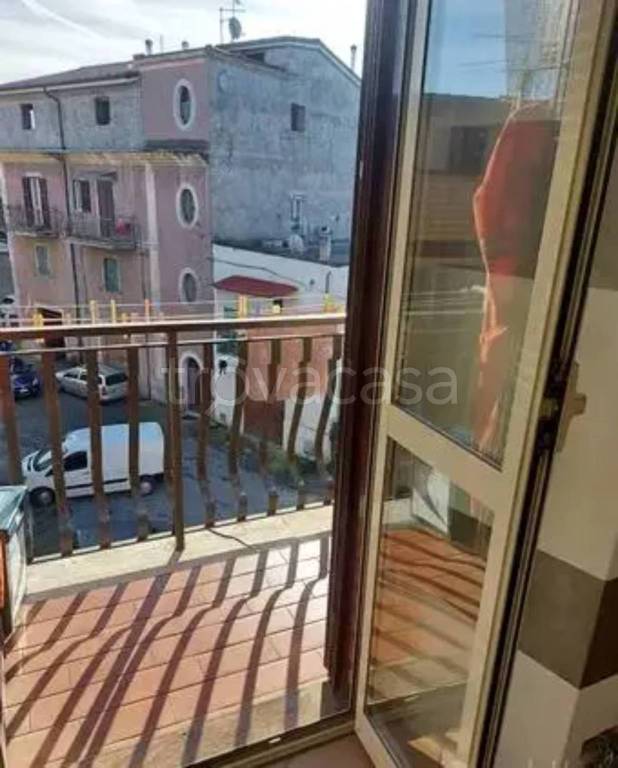 immagine annuncio 4 di 6