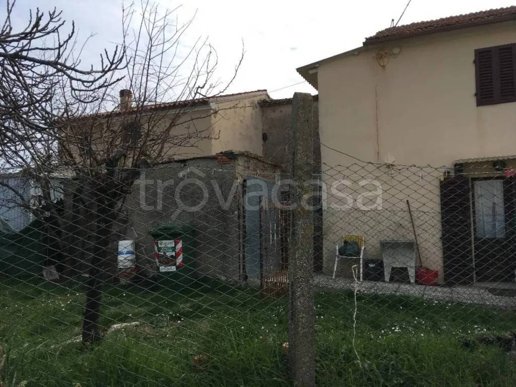 immagine annuncio 2 di 8