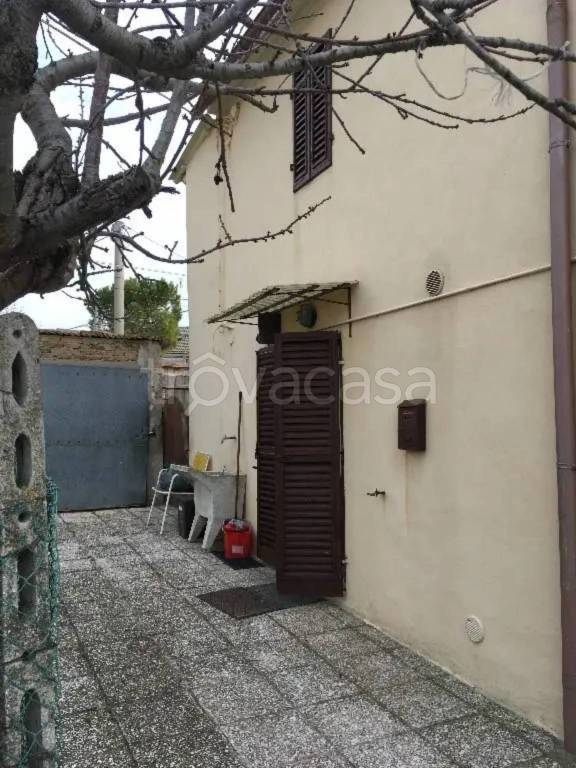 immagine annuncio 5 di 8