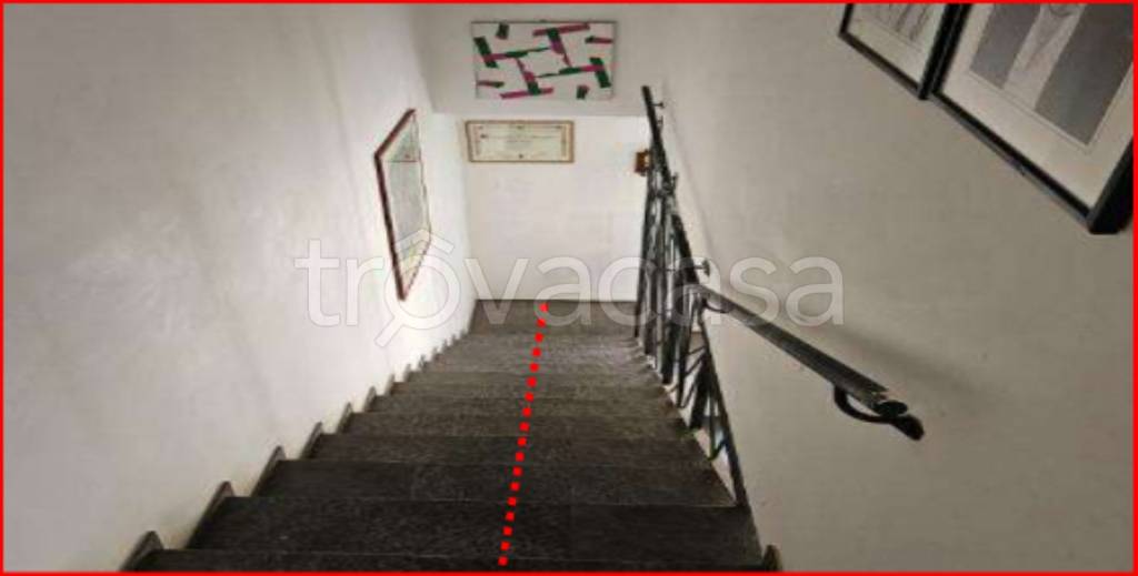 immagine annuncio 6 di 14