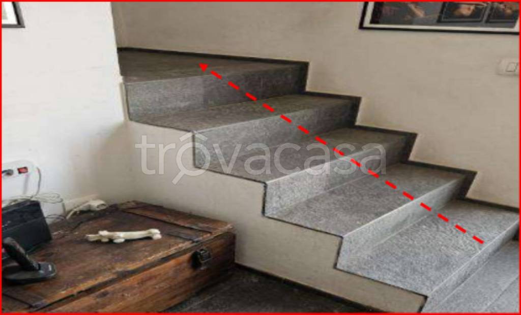 immagine annuncio 9 di 14