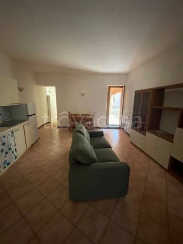 immagine annuncio 2 di 8