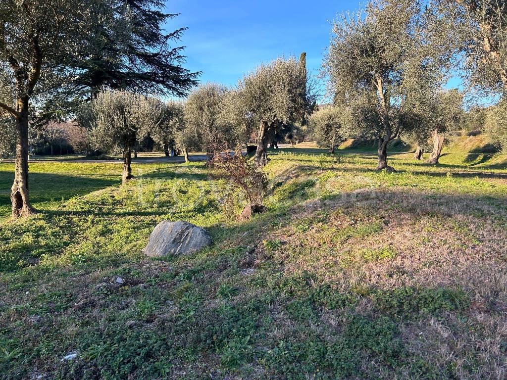 immagine annuncio 1 di 2