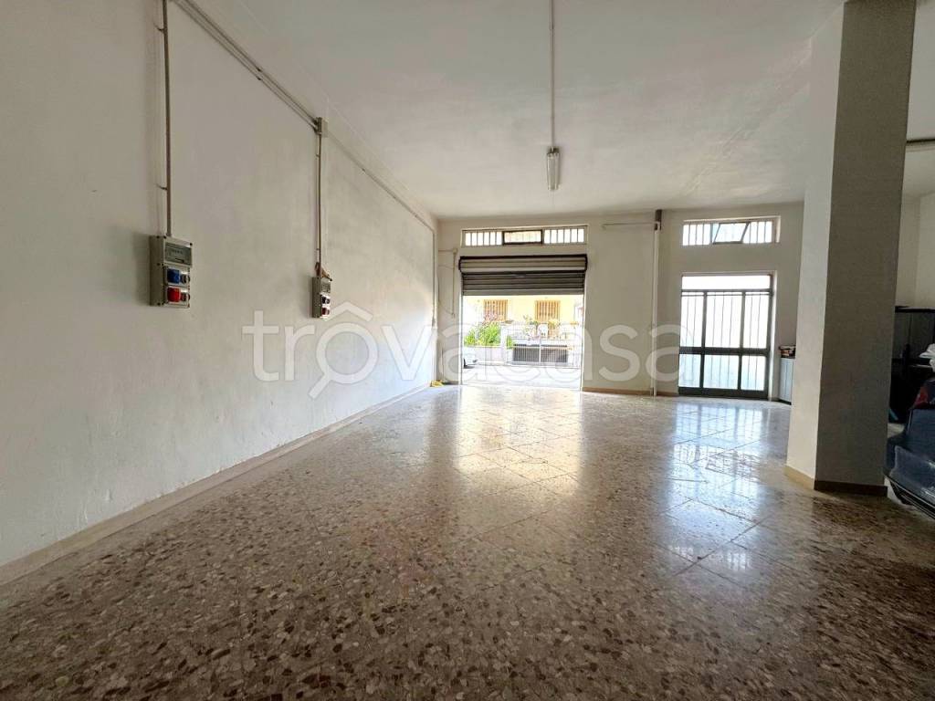 immagine annuncio 9 di 14