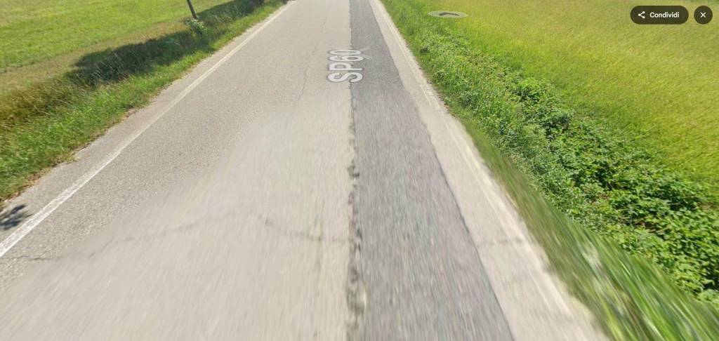 immagine annuncio 9 di 14