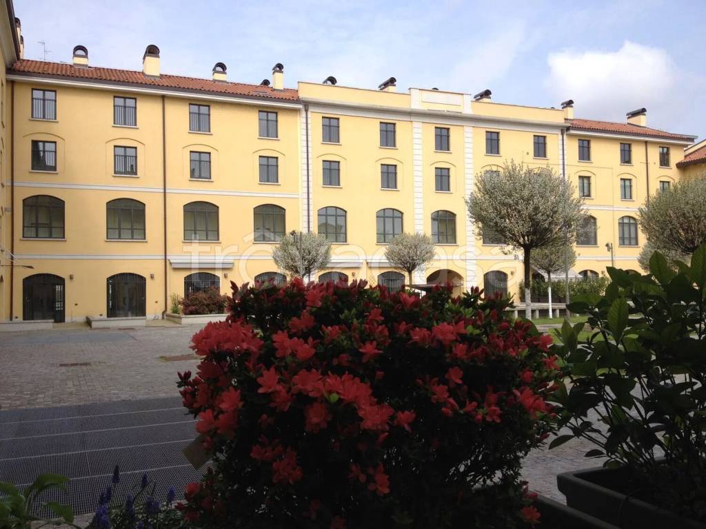 immagine annuncio 5 di 15
