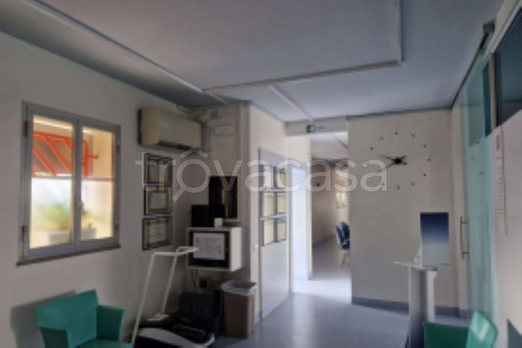 immagine annuncio 5 di 11