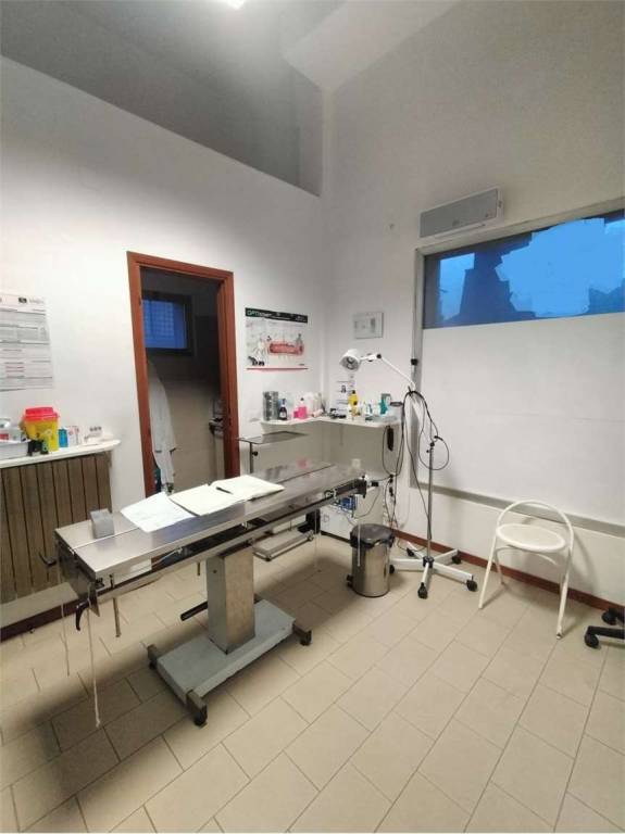immagine annuncio 4 di 7