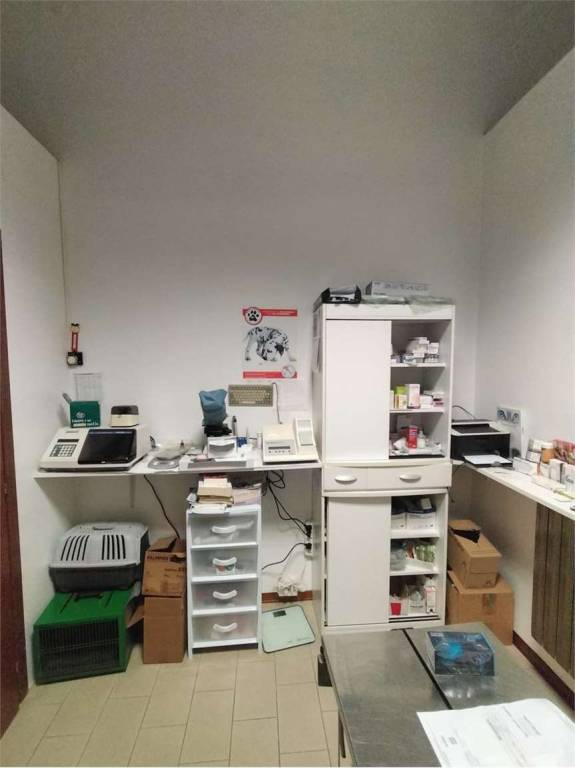 immagine annuncio 5 di 7