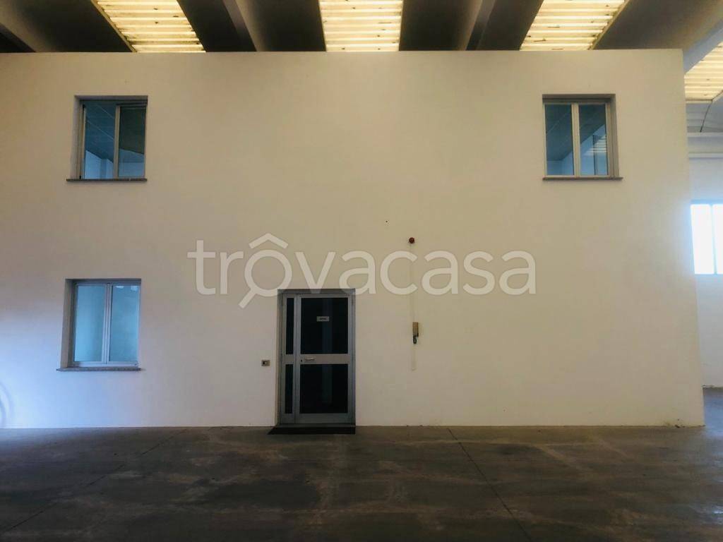 immagine annuncio 3 di 7