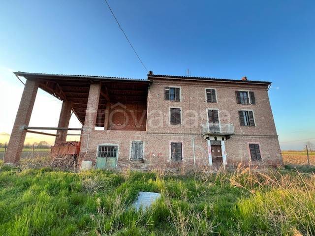 immagine annuncio 7 di 8