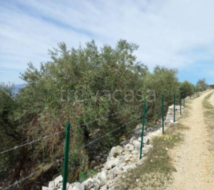 immagine annuncio 8 di 11