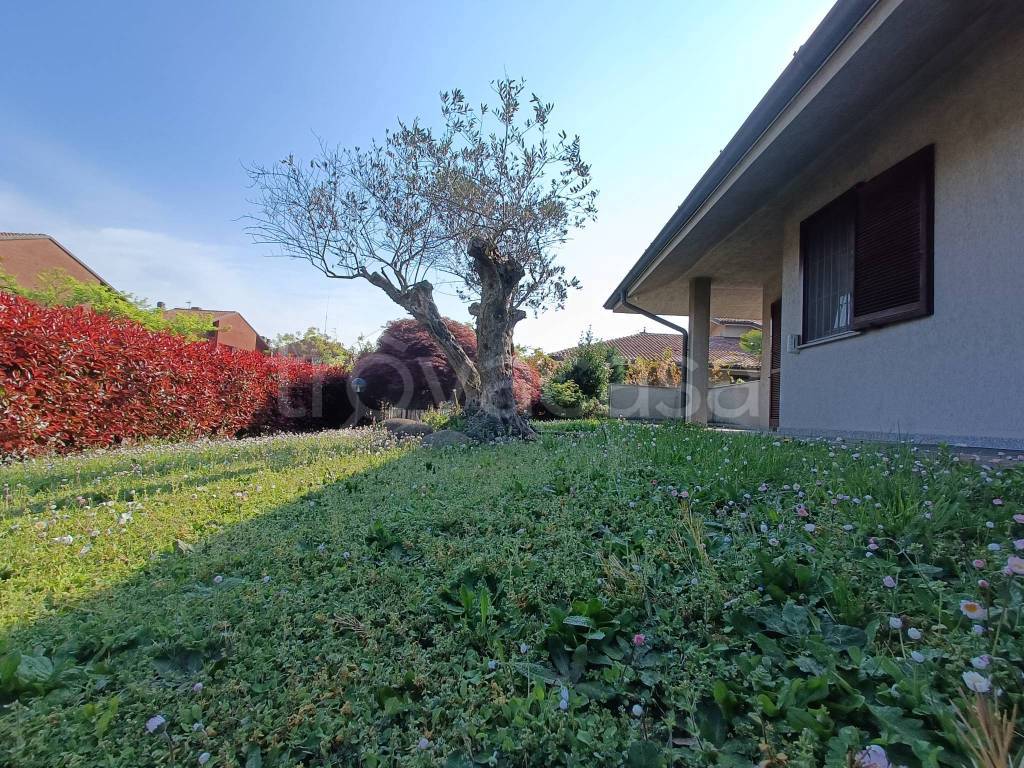 immagine annuncio 1 di 15