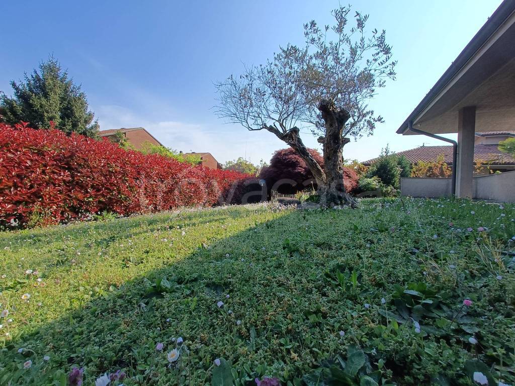 immagine annuncio 2 di 15