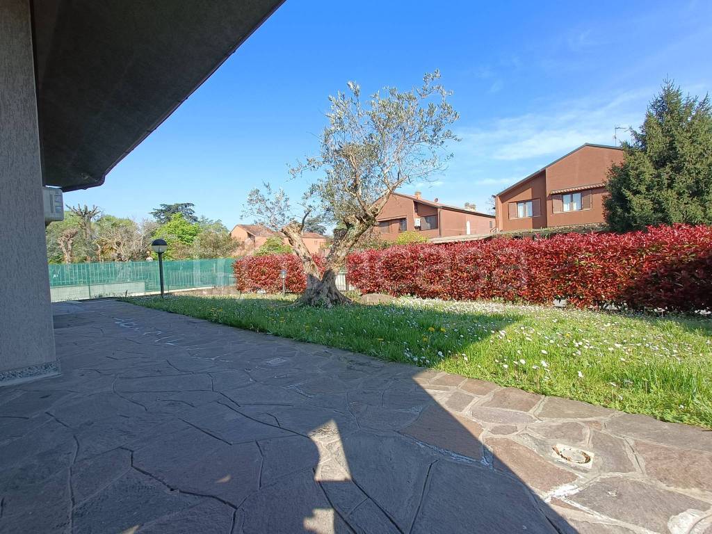 immagine annuncio 9 di 15