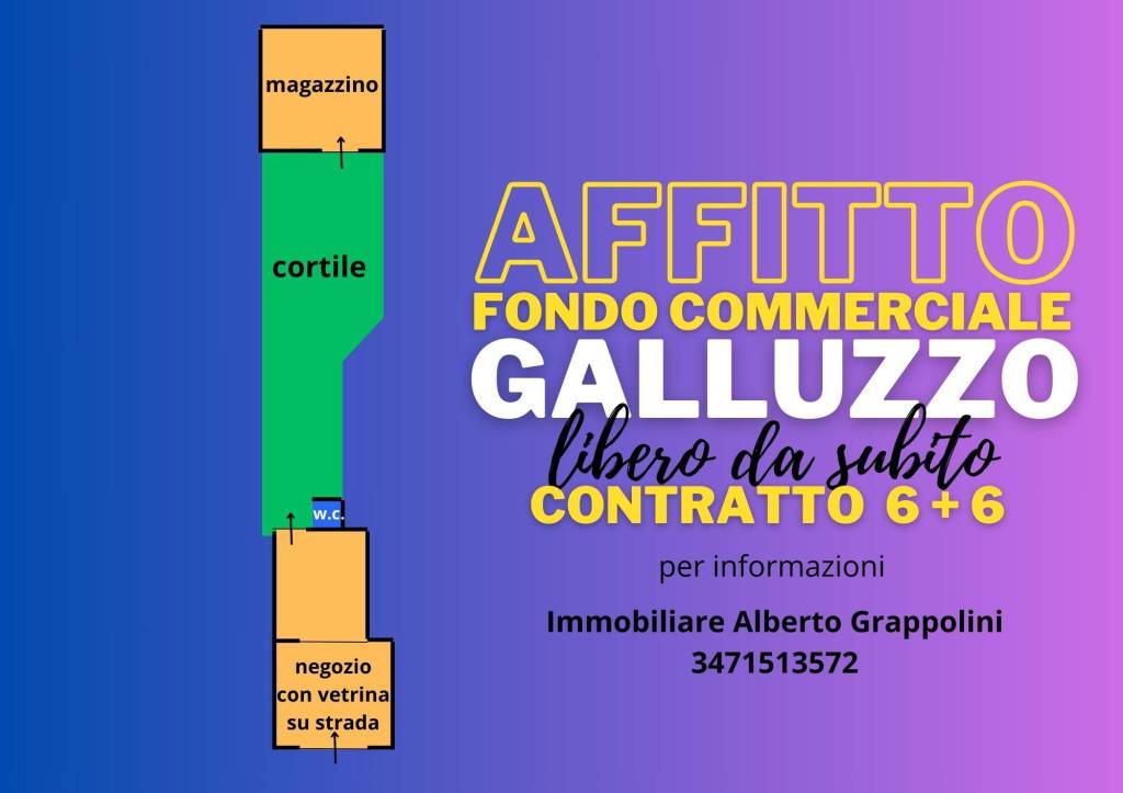 immagine annuncio 14 di 15