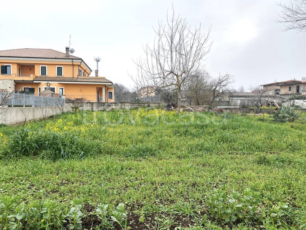 immagine annuncio 6 di 9