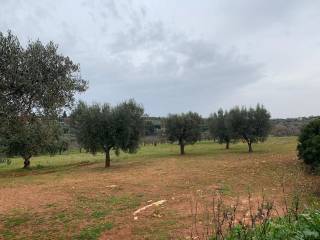 Terreno agricolo in vendita a castellana grotte s.v. monte cipolla