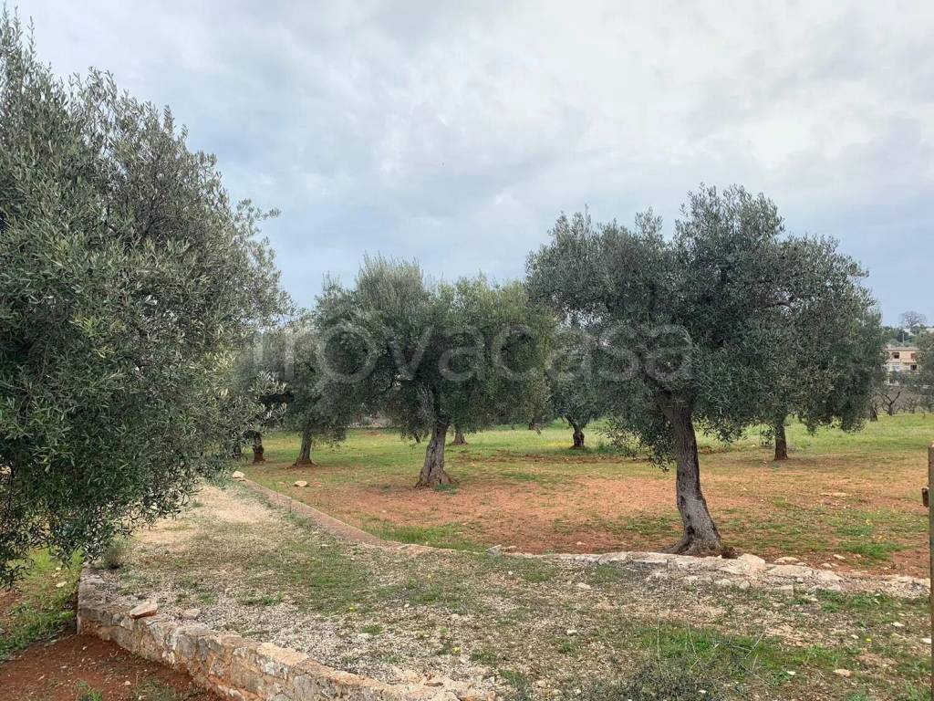 immagine annuncio 6 di 13